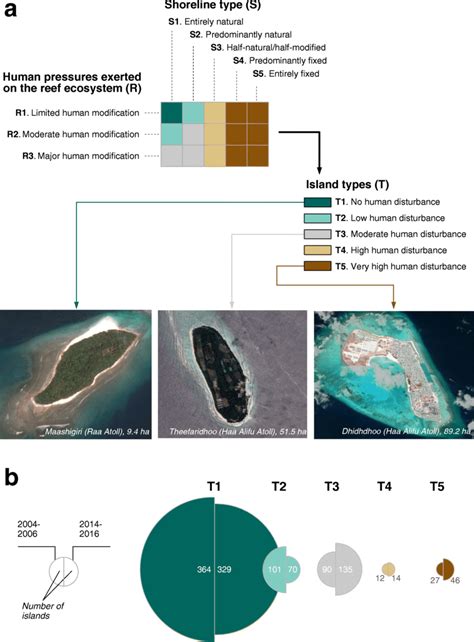 Five island types. Panel A shows the island type matrix. Supplementary ...