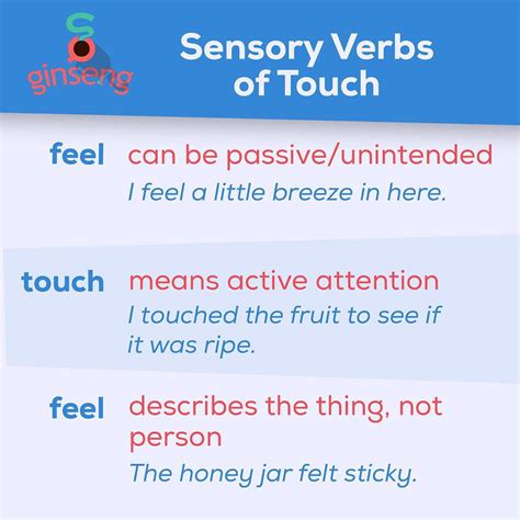 Sensory Verbs in English | Ginseng English | Learn English