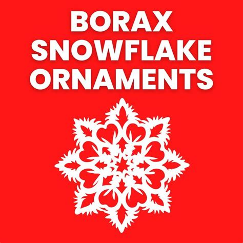 Borax Snowflake Christmas Ornaments | Math = Love | Borax snowflakes, Borax, Coffee filters ...