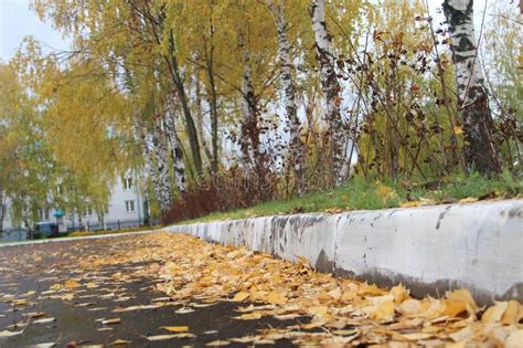 Golden Autumn in Cheboksary Stock Photo - Image of yellow, golden: 102583168