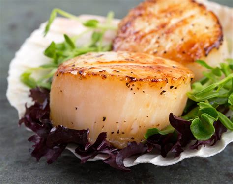 How to Cook Scallops- Perfect Pan Seared Scallops