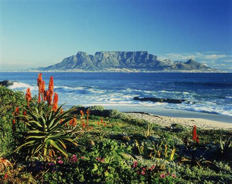 Your Guide To Exploring The Cape Town Like Never Before