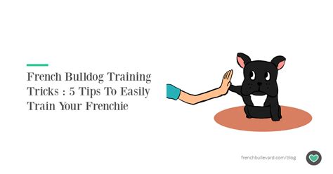 French Bulldog Training Tricks : 5 Tips To Train Your Frenchie - French ...