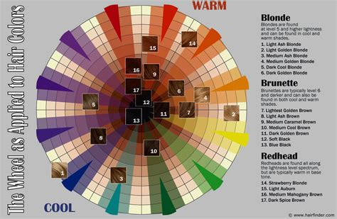 How to use the hair color wheel | The relationships of colors