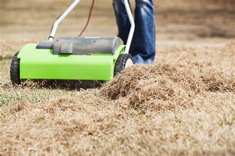 Lawn Care Advice and Tips | Dethatching lawn, Aerate lawn, Dethatching