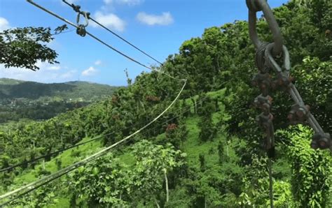 12 Best Zipline Adventure Parks & Tours In Puerto Rico (2024)