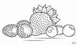 Strawberries Raspberries And Blueberries coloring Page  Free sketch template
