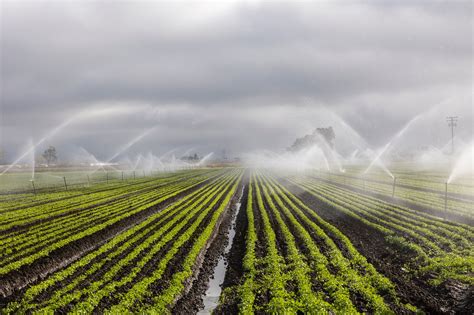 Farmers in East Africa Improve Local Agriculture with Israeli ...