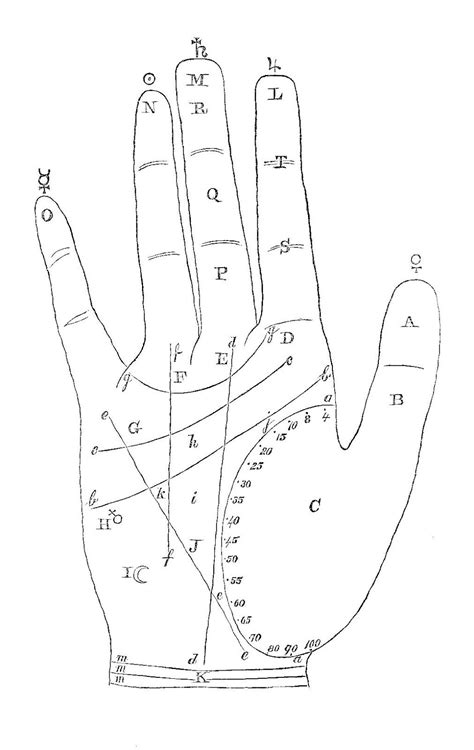 Indian Palmistry, Palmistry Reading, Age Calculator, Folk Magic, Hand Lines, Image Blog ...