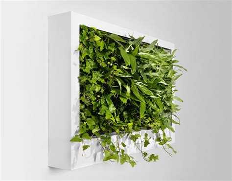 Portable Green Wall Design Ideas - Interior Design Ideas