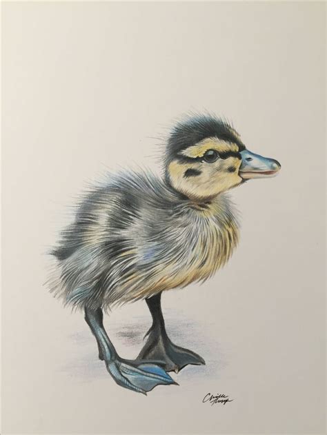 Duckling drawing in colored pencil done by Aprille Thompson www.aprillethomp… | Bird pencil ...