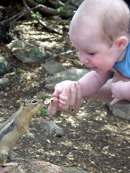 Photo: Baby Feeding a Squirrel