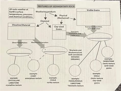 Solved TEXTURES OF SEDIMENTARY ROCK All rocks weather at | Chegg.com