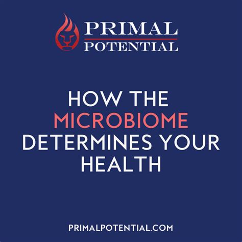 482: How The Microbiome Determines Your Health