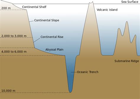 The Seafloor | Earth Science