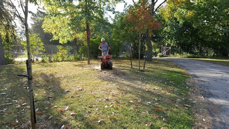 Gear Acres at Top of the Hill: Troy-Bilt...still tilling after all ...