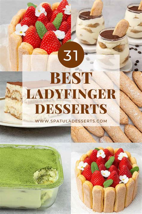 Top 31 Best Ladyfinger Desserts - Spatula Desserts