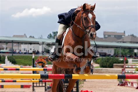 Equestrian Show Jumping Stock Photo | Royalty-Free | FreeImages