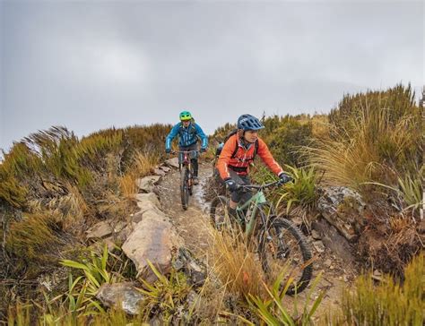 Ride The Paparoa Track | Everything you need in one package