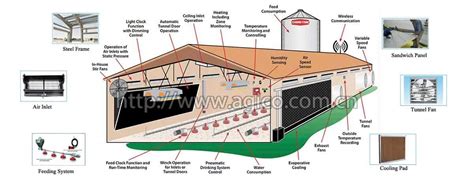 Chicken Farm Equipment for Large-scale Poultry Farming, Auto Poultry ...