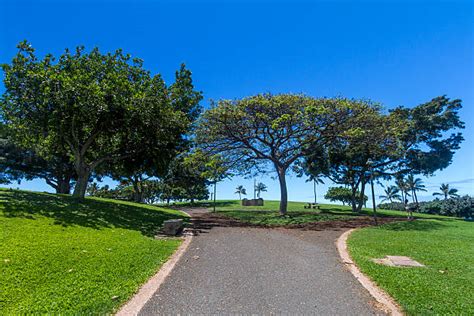 Kakaako Waterfront Park Stock Photos, Pictures & Royalty-Free Images - iStock