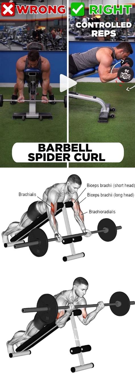 SPIDER CURLS | Biceps workout, Strength workout, Biceps