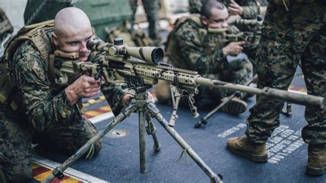 Marine Corps experiments with new scout sniper job | SOFREP