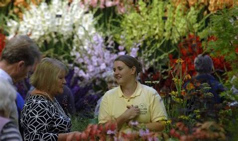 Harrogate Flower Show