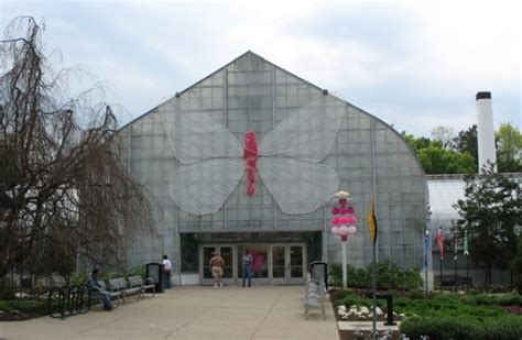 Day 14 - Butterfly Show at Krohn Conservatory · 365 CINCINNATI