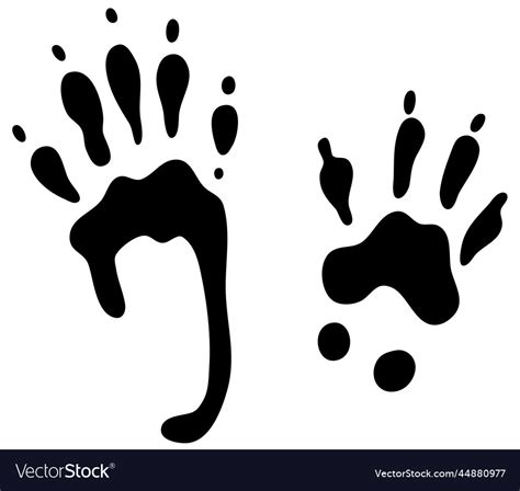 Squirrel track foot print or paw Royalty Free Vector Image