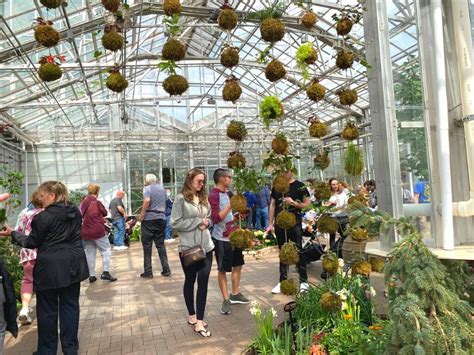 Meijer Gardens Butterflies: Flutter into Spring with Butterflies are ...