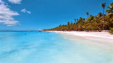 How to find the best Private Tours to Isla Saona and Isla Catalina? | Punta Cana Travel Blog