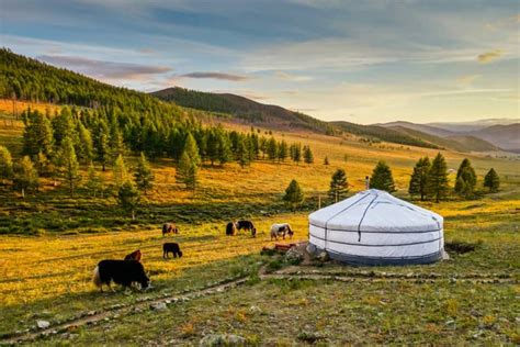 25 Interesting Facts About Mongolia - The Facts Institute