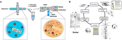 Frontiers | Recent Advances on Sorting Methods of High-Throughput Droplet-Based Microfluidics in ...