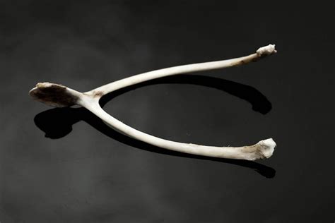 This Is Why We Make a Wish on Wishbones | Reader's Digest