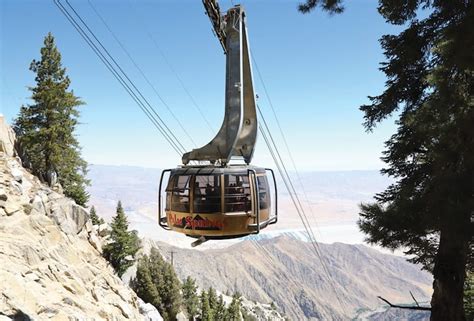 Palm Springs Tram: Things to Do at the Top and Special Deal