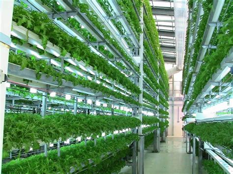 Exigences de la culture hydroponique | Hydroponic farming, Hydroponics ...