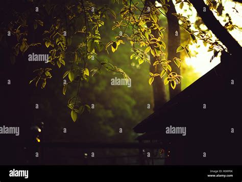 Heavenly light hi-res stock photography and images - Alamy