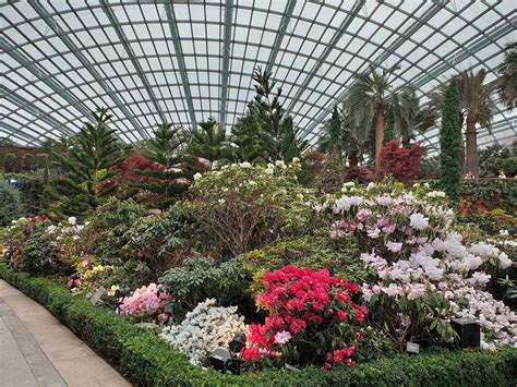 Flower Dome - Ticket Prices & Admission Gardens by the Bay Singapore