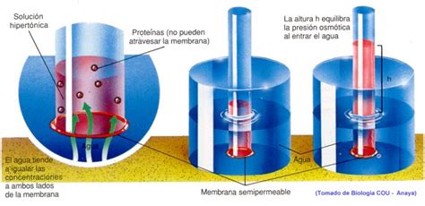 MaNueLaBcDc: ENTRADA 2: EL AGUA