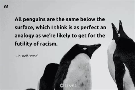 27 Penguin Quotes about the Monogamous Waddling Bird