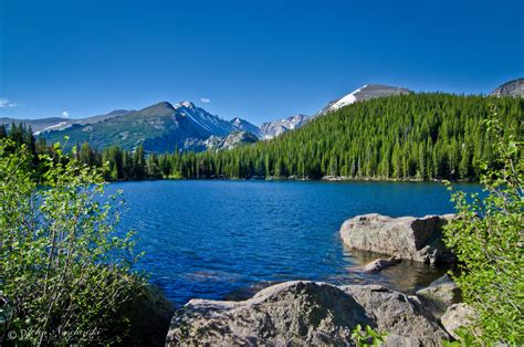 Rocky Mountain National Park Summer Photos