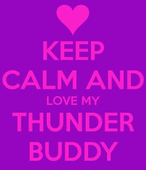 Quotes Thunder Buddy. QuotesGram