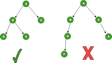 Binary Trees | Algorithm Tutor