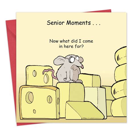 Buy Twizler Funny Card Senior Moments - Blank Card – Funny Card Birthday – Humorous Birthday ...