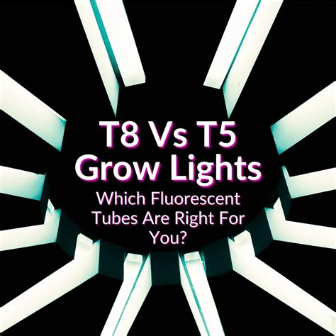T5 Vs T8 Led Grow Lights | Shelly Lighting