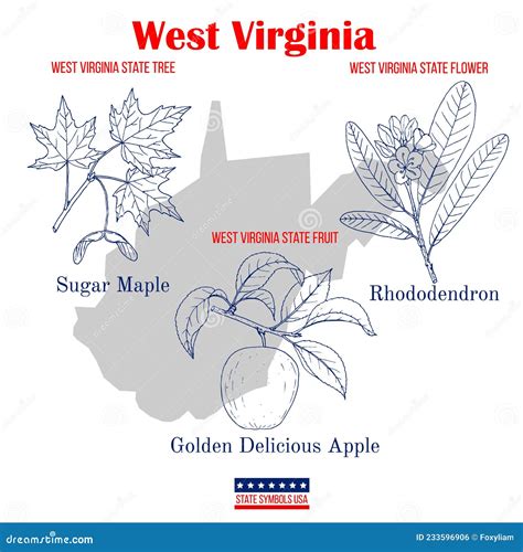 West Virginia. Set of USA Official State Symbols Stock Vector ...