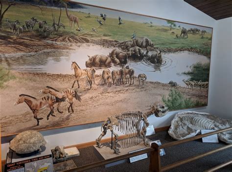 Ashfall Fossil Beds Is Most Fascinating Historic Fossil Park In Nebraska