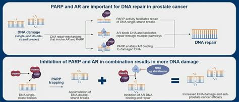 ASCO GU 2023: Final Overall Survival in PROpel: Abiraterone and ...