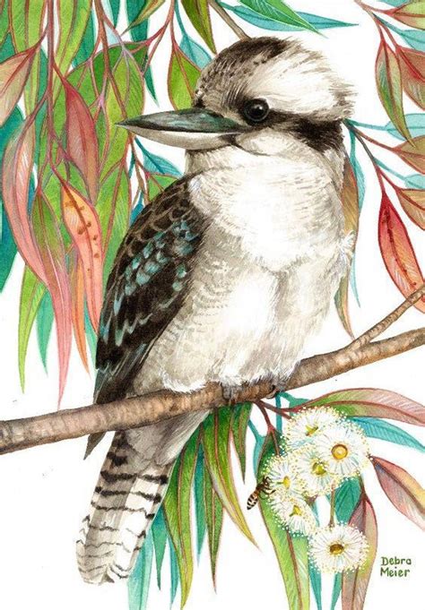 Kookaburra on Gumleaves, Native Bird Print, Australian Bird Watercolour ...